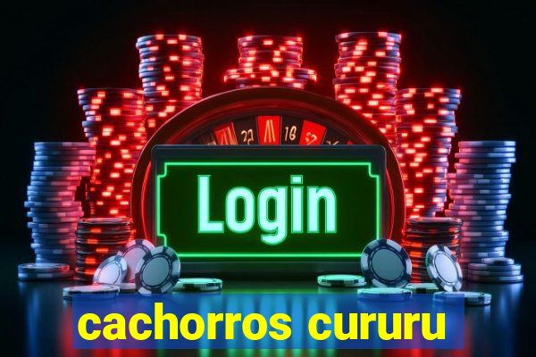 cachorros cururu